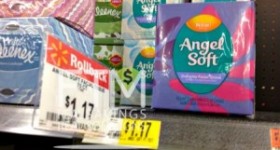 Angel Soft Tissue Coupon – $.67 at Walmart