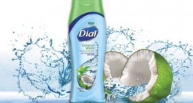 Dial Body Wash Printable Coupons for Buy Two Get One Free