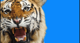 HUGE Wildlife Explorer Kit – $3.99 + FREE Shipping!