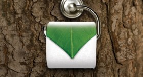 Living the Green with White Cloud