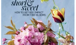 Martha Stewart Living Magazine | 1 Year For $18.49 (Save 43%)