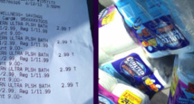 Rite Aid: $2.99 Quilted Northern 12 Double Rolls (No Coupons)