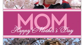 Shutterfly: (10) FREE Greeting Cards